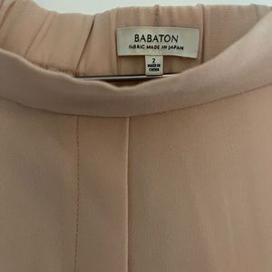 Aritzia Babaton Silk pants